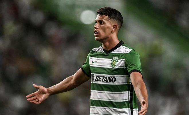 猛龙尝试通 猛龙尝试通