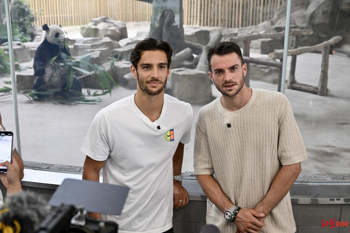 队的实力 队的实力