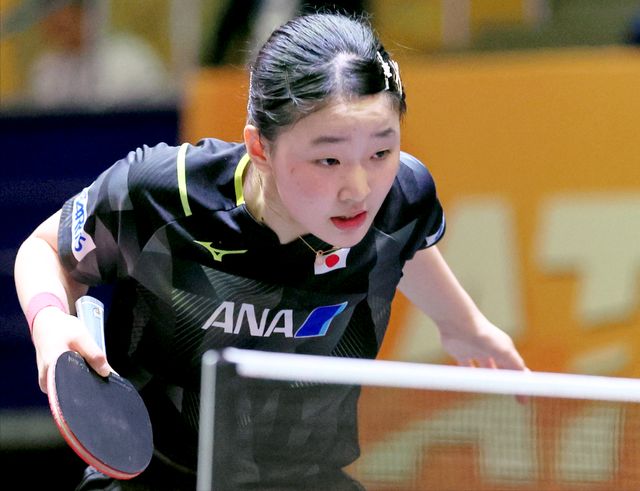 维金斯组成 维金斯组成